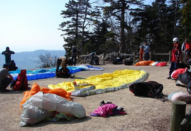  Equipo de calidad para la actividad 